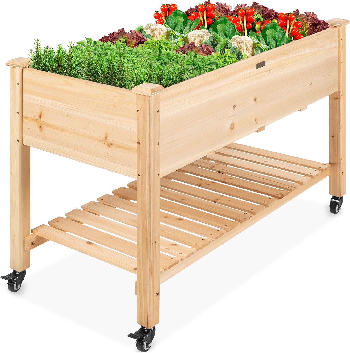 Best Choice Products Mobile Elevated 48x24x32 (B084YMX7N2)