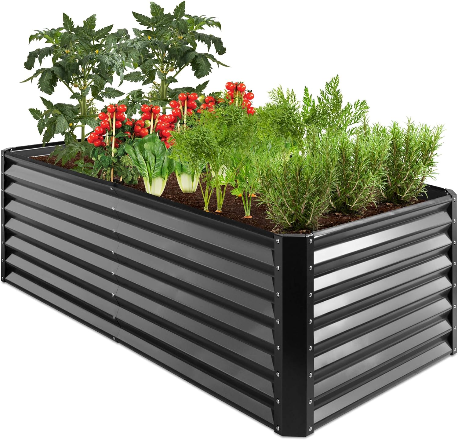 Best Choice Products 6x3x2ft Deep Root (B08X2324ZL)