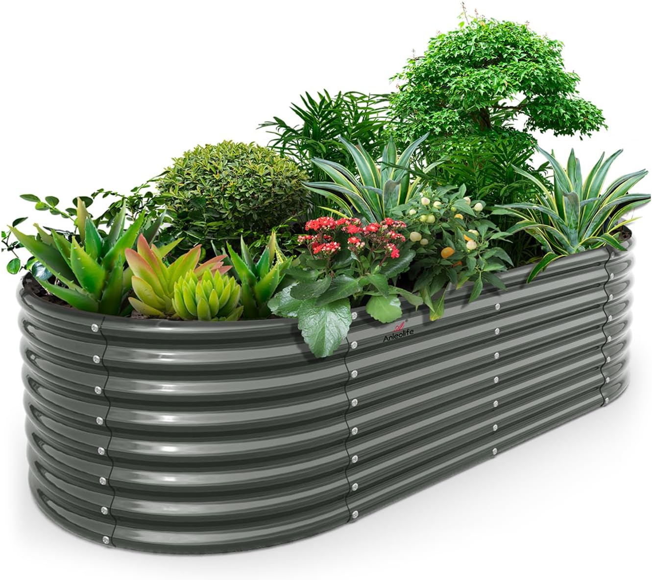 Anleolife 8x4x2ft Oval Deep Root (B0CPXMS6MR)