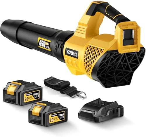 Generic 650CFM 2-Battery Blower (B0FLX45THX)